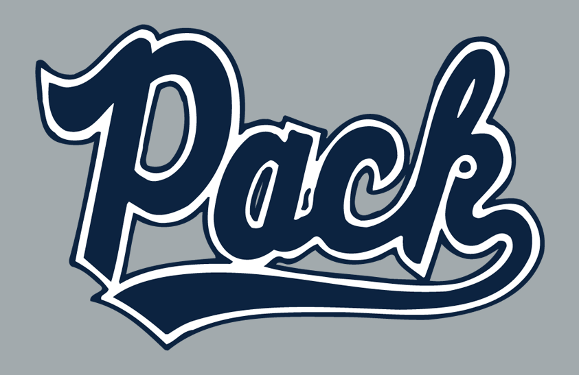 Nevada Wolf Pack 2020-2021 Helmet Logo diy iron on heat transfer